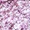 01 Purple Dream