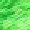 Forest Stamp