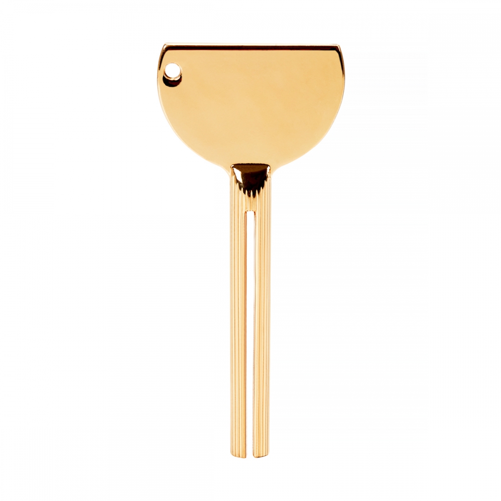 Paint squeezing key gold (148123)