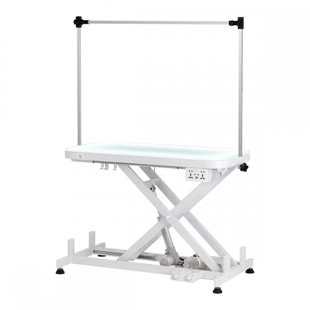 Electric grooming table PAW 3 with lighting, white (152256)