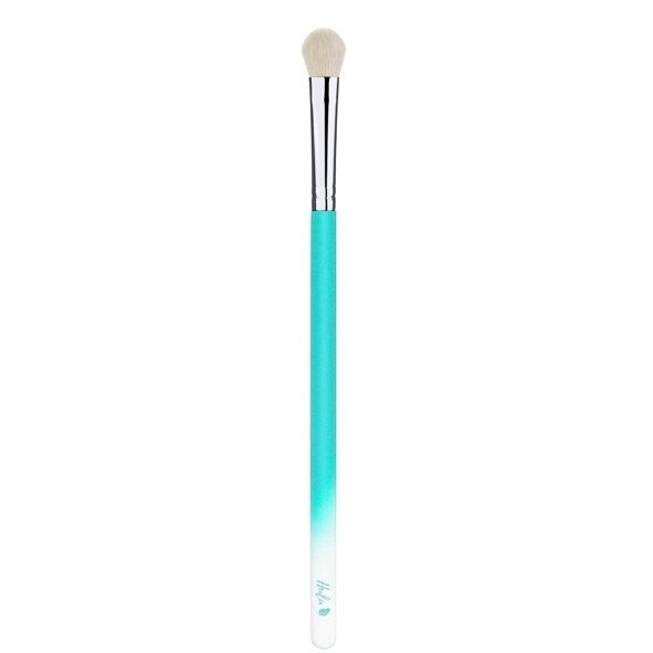 HULU EYESHADOW MAKEUP BRUSH P30 OMBRE