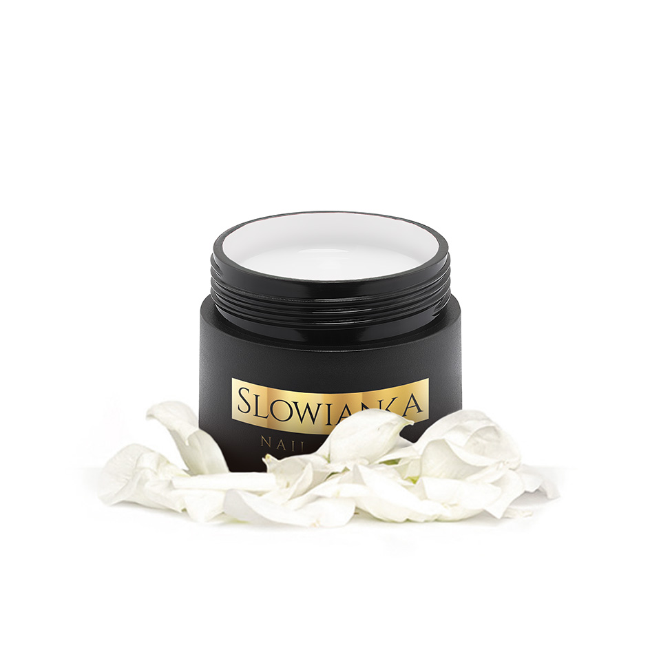 SLOWIANKA ARTER GEL PAINT 5G