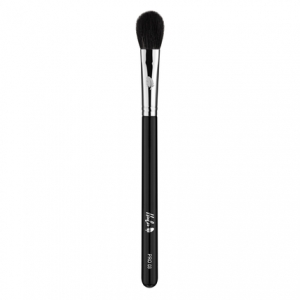 HULU HIGHLIGHTER AND POWDER BRUSH PRO03