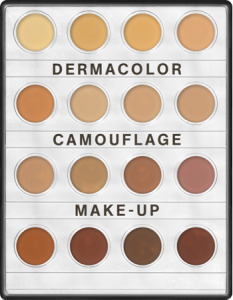 KRYOLAN DERMACOLOR CAMOUFLAGE CREME MINI PALETTE 16 COLORS NR 1