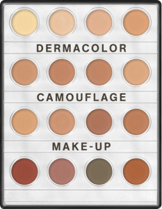 KRYOLAN DERMACOLOR CAMOUFLAGE CREME MINI PALETTE 16 COLORS NR 2 