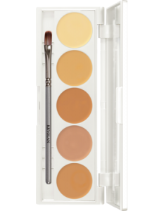 KRYOLAN DERMACOLOR CAMOUFLAGE CREME QUINTET DQ3