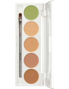 KRYOLAN DERMACOLOR CAMOUFLAGE CREME QUINTET DQ4 