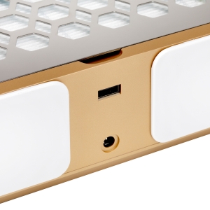 Dust absorber Momo P30 60W white gold (155497)