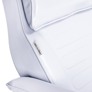 Sillon hydraulic cosmetic chair v2 210 cold white
