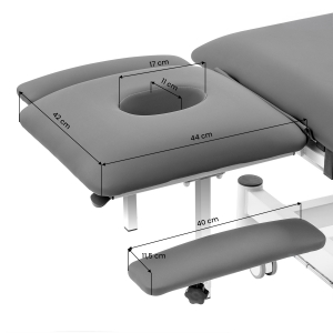 Electric Rehabilitation Table for Massage and Physiotherapy Balance Eso Pro grey (155381)