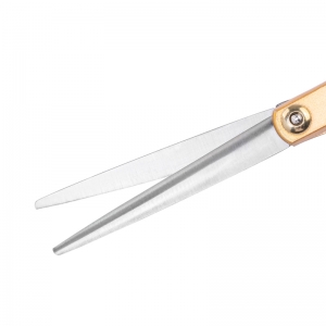 SNIPPEX HAIR SCISSORS 6.0 GOLD (138173)