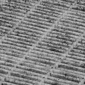 Cassette filter for momo j29 / j31 / j02 dust absorber black (123582)