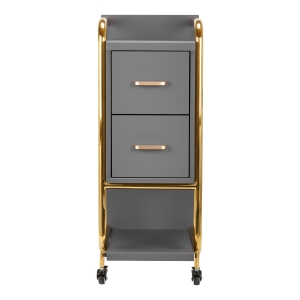 GABBIANO HAIRDRESSER TROLLEY SOLO GOLD GRAY (135396)