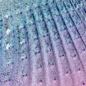 Shell-shaped dusting brush (147278)