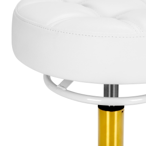 The Gabbiano D054G hairdressing stool gold white (155264)