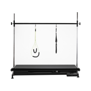 Electric grooming table PAW 1 black (154574)