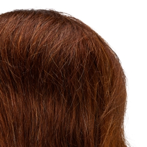 Gabbiano WZ3 hairdressing training head, natural hair, color 4#, length 8" (148406)