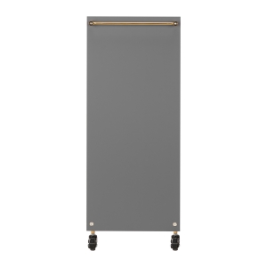 GABBIANO HAIRDRESSER TROLLEY SOLO GOLD GRAY (135396)