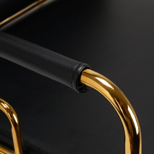 GABBIANO HAIR WASH UNIT PRATO GOLD - BLACK (142892)
