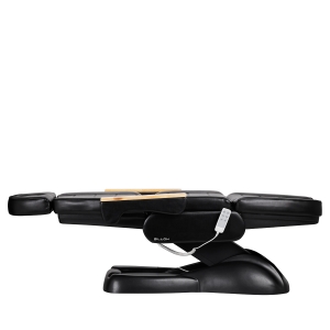 Electric cosmetic chair SILLON Lux 273B 3 actuators black (147259)