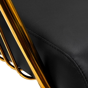 Gabbiano hairdressing chair Lille gold black (147324)
