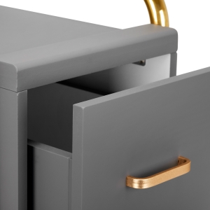 GABBIANO HAIRDRESSER TROLLEY SOLO GOLD GRAY (135396)