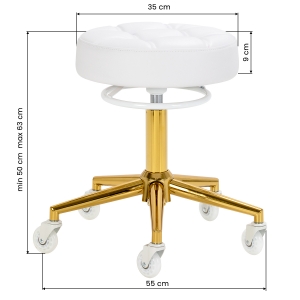 The Gabbiano D054G hairdressing stool gold white (155264)