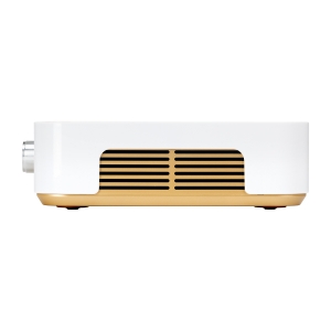 Dust absorber Momo P30 60W white gold (155497)