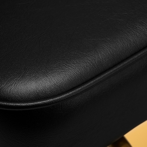 Hairdressing chair Gabbiano Linz NQ Gold Black (148063)