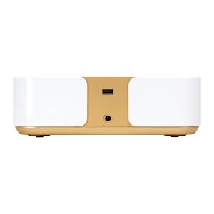 Dust absorber Momo P30 60W white gold (155497)