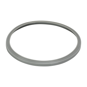 ACTIVESHOP Gasket for the Fomos Foster 12L autoclave (154449)