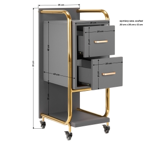 GABBIANO HAIRDRESSER TROLLEY SOLO GOLD GRAY (135396)