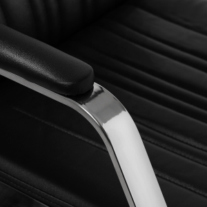 Gabbiano Barber Hair Wash Patrizio Black (149494)