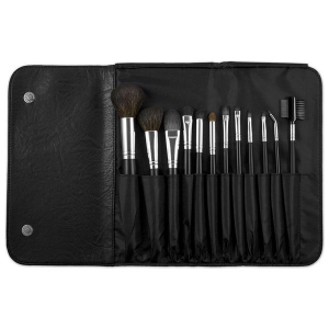 COASTAL SCENTS 12 PIECE BRUSH SET