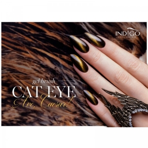 INDIGO NAILS CAT EYE GEL BRUSH  AVE CAESAR