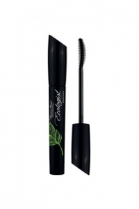 PIERRE RENE ECOLOGIST MASCARA 