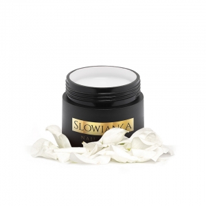 SLOWIANKA ARTER GEL PAINT 5G