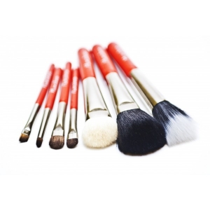 MAESTRO SET OF 7 TRAVEL BRUSHES